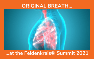 ORIGINAL BREATH: What is “healthy breathing” and how can we find out for ourselves?