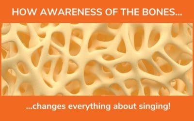 Understanding Vocal Support – The Bare Bones of Singing