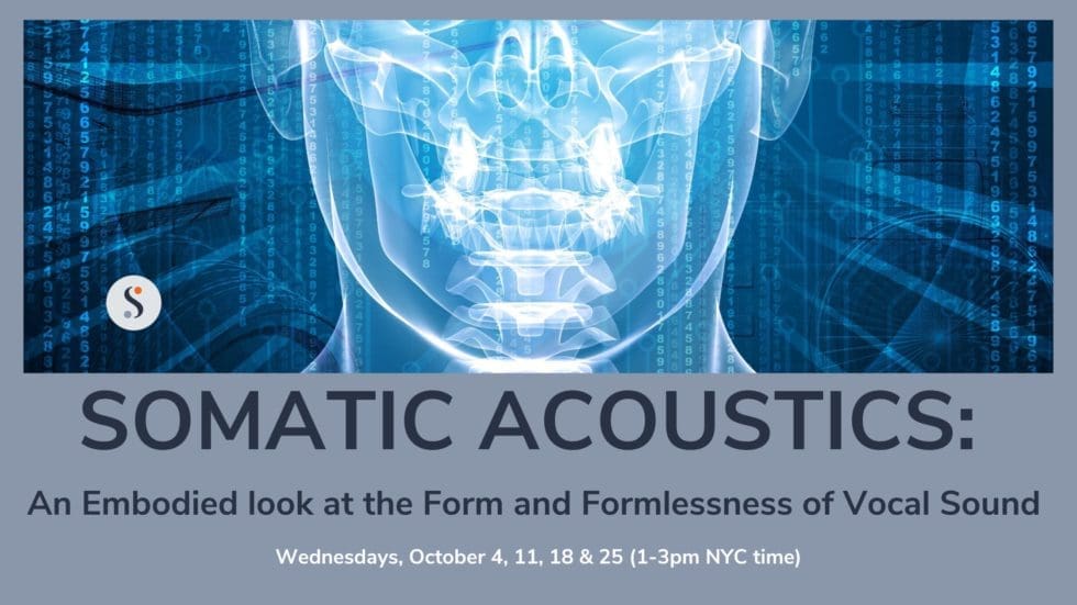 Somatic Acoustics 2023 banner