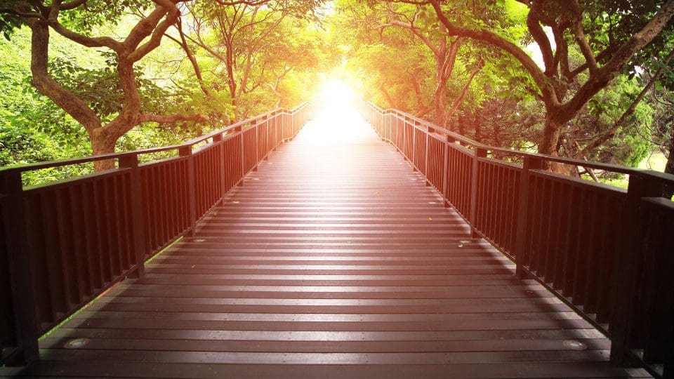 A bridge represents your guide helping on the right path in your learning experience.
